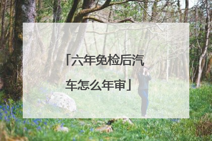 六年免检后汽车怎么年审