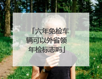 六年免检车辆可以外省领年检标志吗