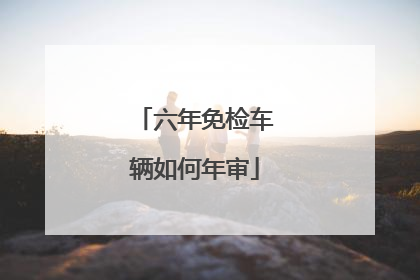 六年免检车辆如何年审