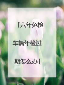 六年免检车辆年检过期怎么办