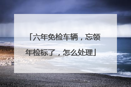 六年免检车辆，忘领年检标了，怎么处理