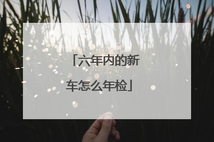 六年内的新车怎么年检