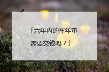 六年内的车年审需要交钱吗？