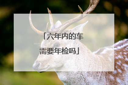 六年内的车需要年检吗