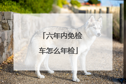 六年内免检车怎么年检