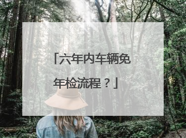 六年内车辆免年检流程？
