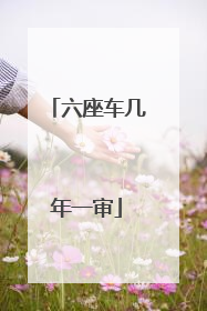 六座车几年一审