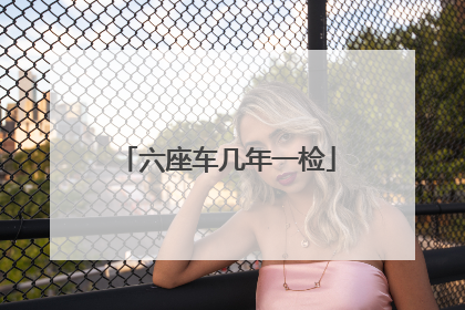 六座车几年一检