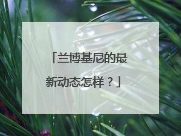 兰博基尼的最新动态怎样？
