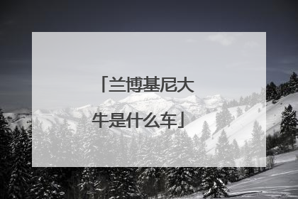 兰博基尼大牛是什么车