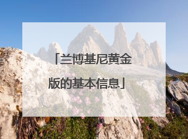 兰博基尼黄金版的基本信息