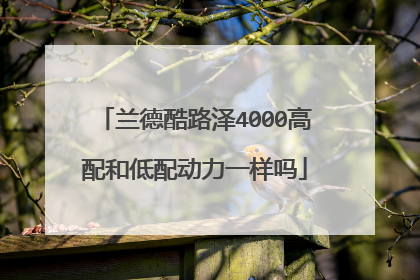 兰德酷路泽4000高配和低配动力一样吗