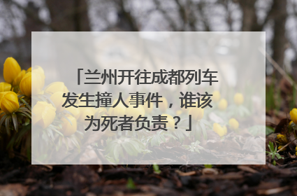 兰州开往成都列车发生撞人事件，谁该为死者负责？