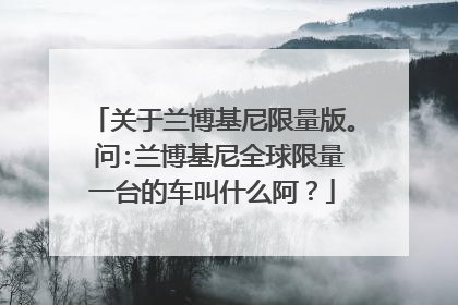 关于兰博基尼限量版。 问:兰博基尼全球限量一台的车叫什么阿？