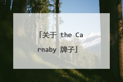 关于 the Carnaby 牌子