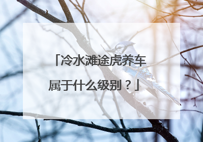 冷水滩途虎养车属于什么级别？
