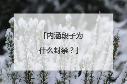 内涵段子为什么封禁？