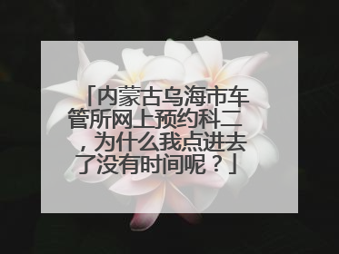 内蒙古乌海市车管所网上预约科二，为什么我点进去了没有时间呢？