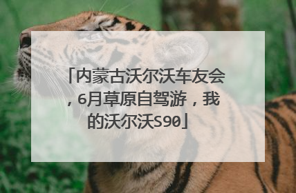 内蒙古沃尔沃车友会，6月草原自驾游，我的沃尔沃S90