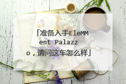 准备入手EleMMent Palazzo，请问这车怎么样