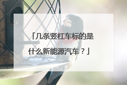 几条竖杠车标的是什么新能源汽车？
