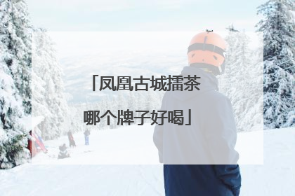 凤凰古城擂茶哪个牌子好喝