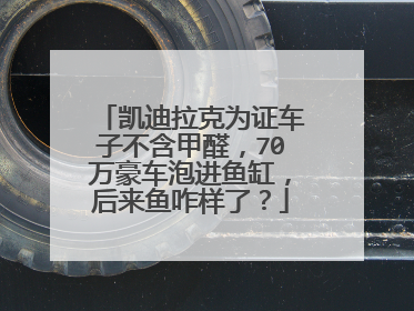 凯迪拉克为证车子不含甲醛，70万豪车泡进鱼缸，后来鱼咋样了？