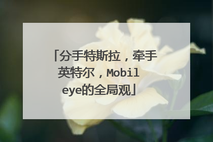 分手特斯拉，牵手英特尔，Mobileye的全局观