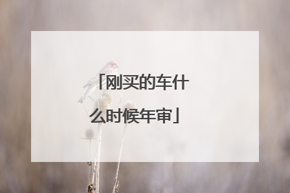 刚买的车什么时候年审