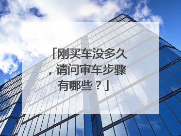 刚买车没多久，请问审车步骤有哪些？