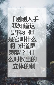 刚刚入手 我知道这是科8 但是它叫什么啊 难道是刺猬？ 什么时候出的 立体的刺很炫哦