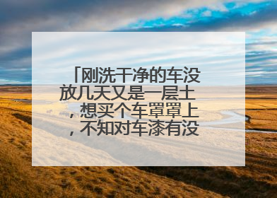 刚洗干净的车没放几天又是一层土，想买个车罩罩上，不知对车漆有没有影响？