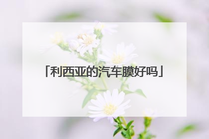 利西亚的汽车膜好吗