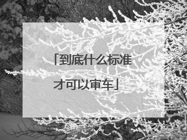 到底什么标准才可以审车