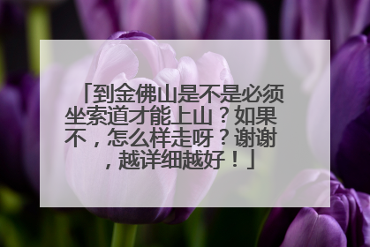 到金佛山是不是必须坐索道才能上山？如果不，怎么样走呀？谢谢，越详细越好！