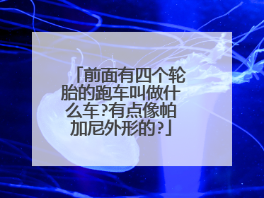 前面有四个轮胎的跑车叫做什么车?有点像帕加尼外形的?