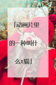 动画片里的一种叫什么t猫
