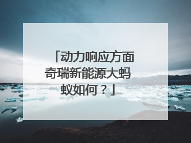 动力响应方面奇瑞新能源大蚂蚁如何？