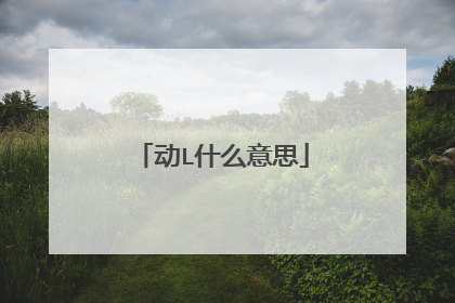 动L什么意思