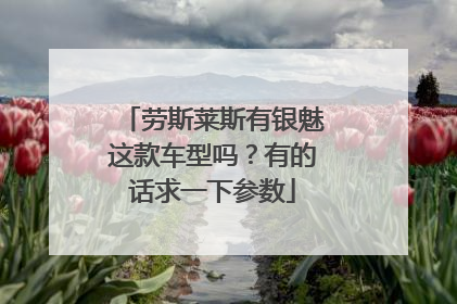 劳斯莱斯有银魅这款车型吗？有的话求一下参数