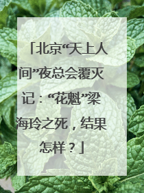 北京“天上人间”夜总会覆灭记：“花魁”梁海玲之死，结果怎样？
