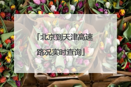 北京到天津高速路况实时查询
