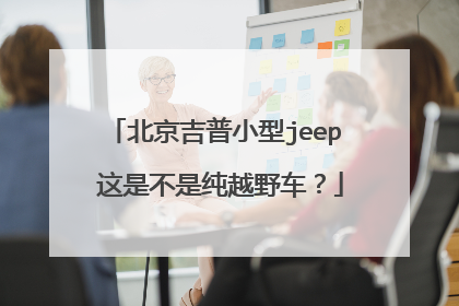 北京吉普小型jeep 这是不是纯越野车？
