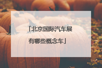 北京国际汽车展有哪些概念车