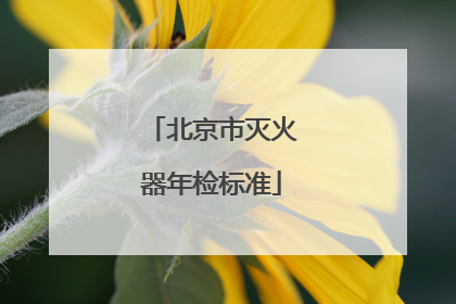 北京市灭火器年检标准