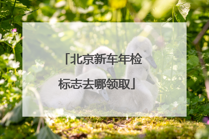 北京新车年检标志去哪领取