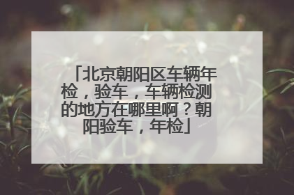 北京朝阳区车辆年检，验车，车辆检测的地方在哪里啊？朝阳验车，年检