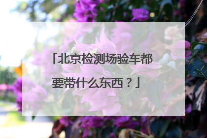 北京检测场验车都要带什么东西？