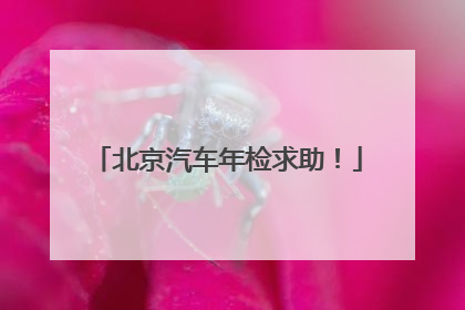 北京汽车年检求助！