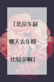 北京车展哪天去车模比较多啊